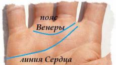 Líneas fatídicas en la palma de una persona que predeterminan la vida.