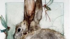 Horóscopo del amor para el conejo