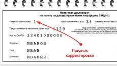 과거 과세 기간에 대한 정정 VAT 신고서를 제출할 때 업데이트된 소득세 신고서를 제출해야 하는 조직의 의무에 대해(I. Bashkirova