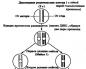 Signifikansi biologis mitosis dan meiosis Pentingnya mitosis dan meiosis secara singkat