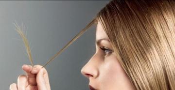 Pourquoi des cheveux sains se dédoublent : analyser, tirer les bonnes conclusions