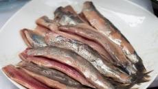 Herring forshmak - resep lezat untuk pate ikan