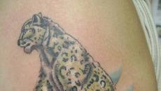Arti tato macan tutul Tato macan tutul salju bagaimana pengaruhnya terhadap seseorang