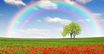 Cosa significa vedere un arcobaleno nel cielo in sogno sia di notte che di giorno?