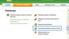 Sberbank 온라인을 통해 대출금을 지불하는 방법에 대한 단계별 가이드