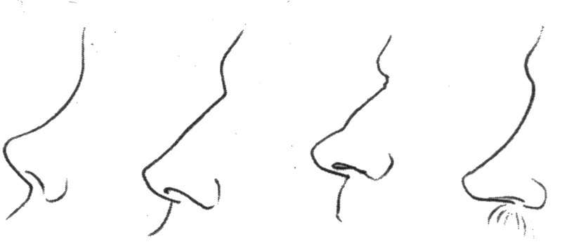 Che Bello Disegnare Un Naso Con Una Matita Disegniamo Il