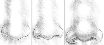 Che Bello Disegnare Un Naso Con Una Matita Disegniamo Il Naso Della Persona Forma Del Naso Semplificata